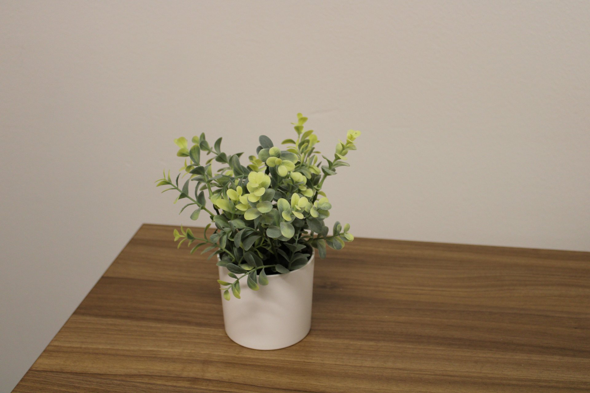 faux eucalyptus
