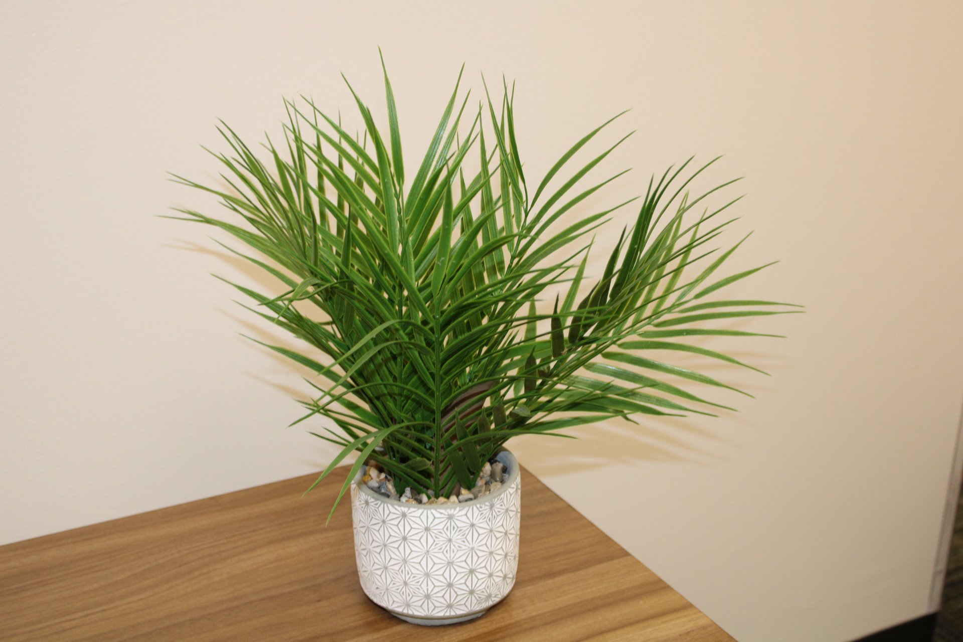 artificial Parlor Palm