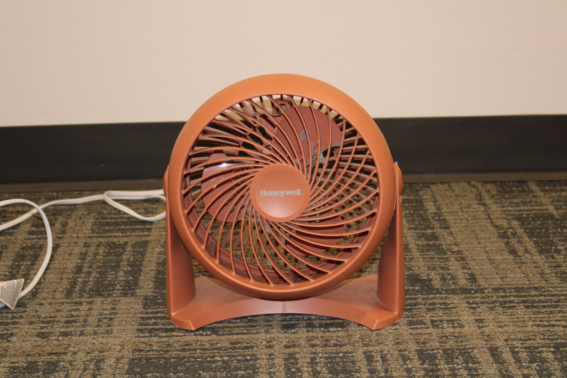 Fan